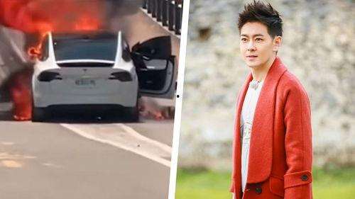 林志颖爆料视频全集播放,揭秘娱乐圈不为人知的幕后故事 第3张 林志颖爆料视频全集播放,揭秘娱乐圈不为人知的幕后故事 第3张