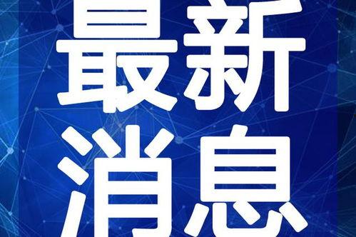 吉林新娘最新爆料新闻视频,揭秘婚礼现场惊人内幕