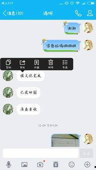 qq吃瓜群号免费聊天记录下载,免费聊天记录背后的精彩瞬间
