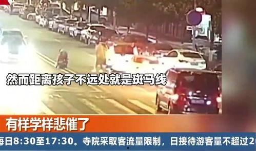 重庆矿神爆料事件真相视频,揭开背后惊人内幕 第3张 重庆矿神爆料事件真相视频,揭开背后惊人内幕 第3张