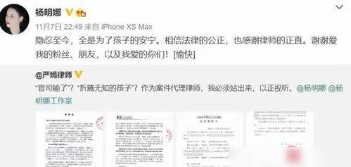 田亮爆料妻子视频播放,揭秘家庭生活点滴 第2张 田亮爆料妻子视频播放,揭秘家庭生活点滴 第2张