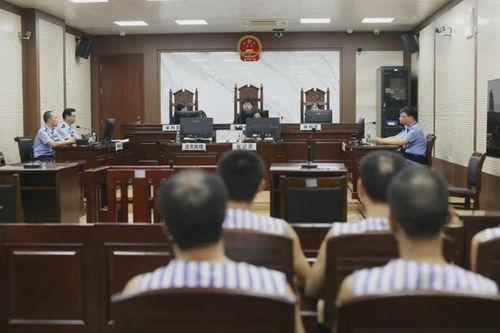 广东监狱爆料案件最新情况,案件进展与调查进展概述 第3张 广东监狱爆料案件最新情况,案件进展与调查进展概述 第3张