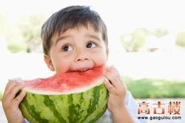 娱乐吃瓜呆头鹅,呆头鹅的趣味生活揭秘
