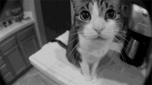 猫老四爆料爸爸视频大全,爸爸视频大全背后的温馨瞬间