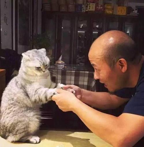 猫老四爆料爸爸视频大全,爸爸视频大全背后的温馨瞬间  第3张