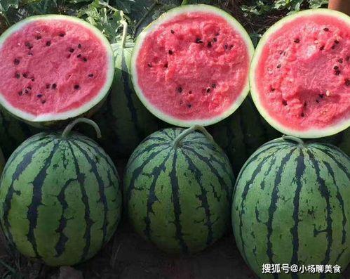 吃瓜网免费网站,畅享网络娱乐新体验  第2张