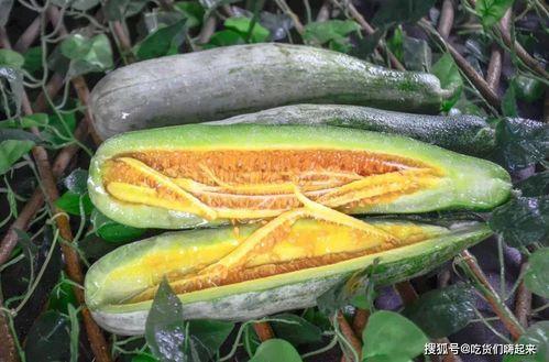 最新百万网红吃瓜,揭秘娱乐圈最新吃瓜盛宴! 第3张 最新百万网红吃瓜,揭秘娱乐圈最新吃瓜盛宴! 第3张