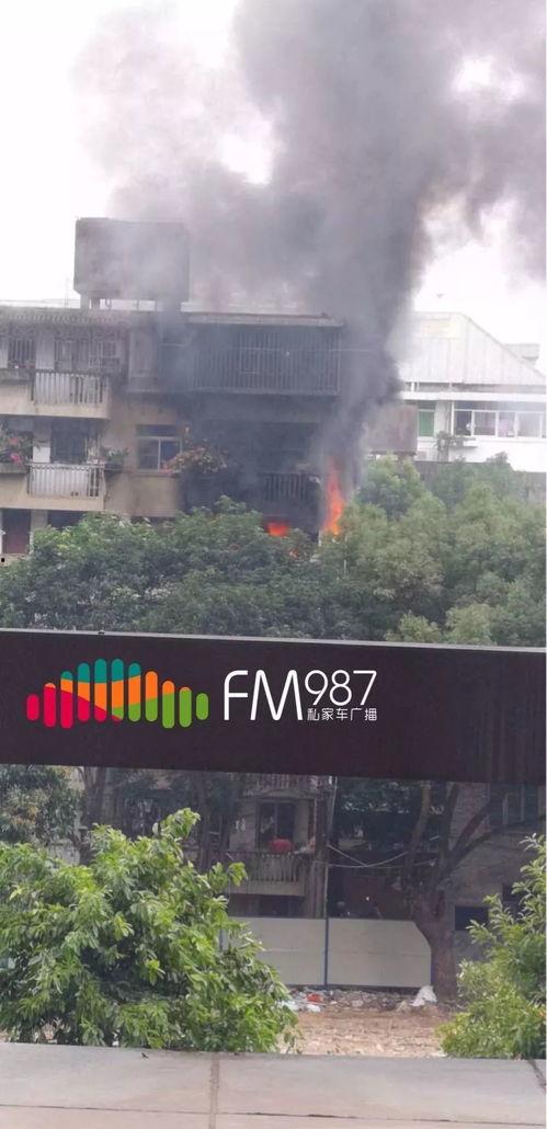 福州爆料哪里最多啊最新消息,最新热点事件盘点，揭秘城市动态焦点