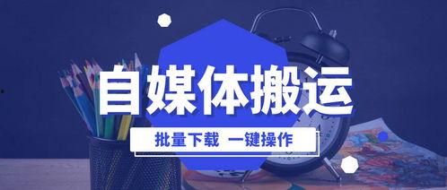 搞笑自媒体视频爆料文案,笑点连连  第3张