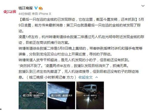 如何找到最新爆料新闻,追踪热点新闻的独家路径  第1张