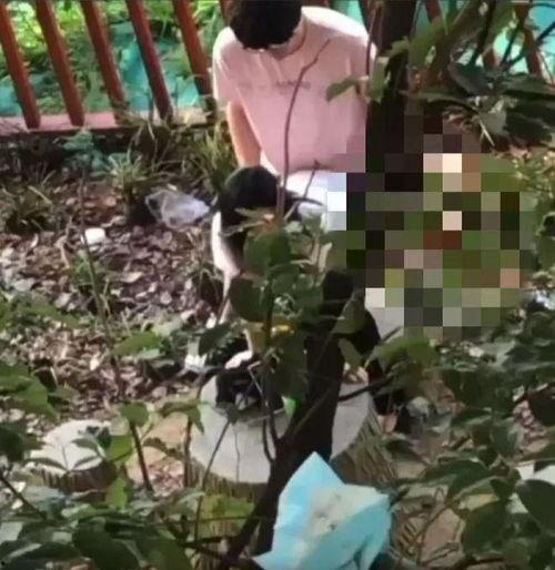 吃瓜事件网红楠楠视频,揭秘娱乐圈幕后真相  第1张
