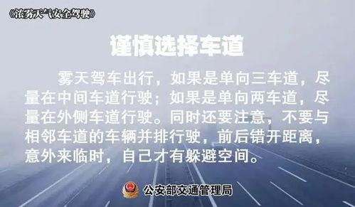临安新闻爆料平台,聚焦民生热点，传递社会声音  第3张