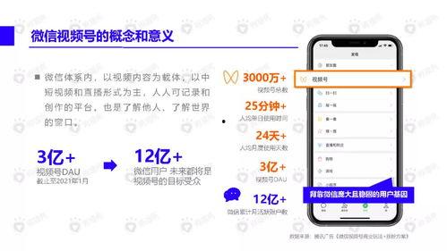 神子早期爆料视频下载,视频内容深度解析 第3张 神子早期爆料视频下载,视频内容深度解析 第3张
