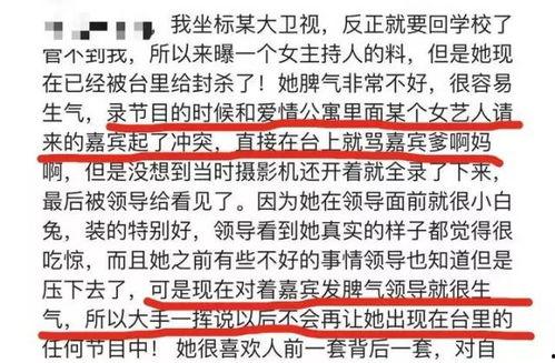 娱乐圈爆料扒卦小说推荐,揭秘幕后爆料与八卦秘闻