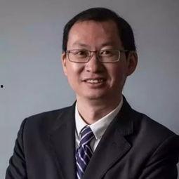 郑磊最新爆料新闻报道,揭秘事件背后惊人真相