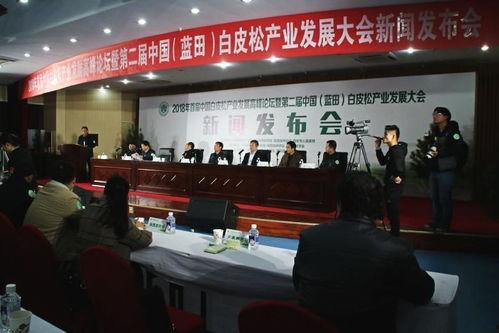 西安蓝田县最新爆料新闻,揭秘神秘事件背后的真相 第1张 西安蓝田县最新爆料新闻,揭秘神秘事件背后的真相 第1张