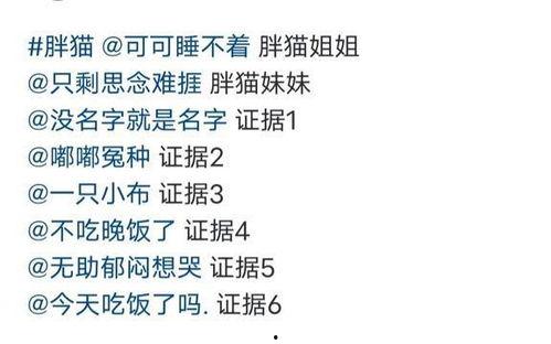 胖猫事件爆料最新消息,揭秘背后惊人真相 第1张 胖猫事件爆料最新消息,揭秘背后惊人真相 第1张