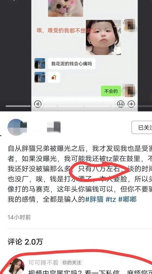胖猫事件爆料最新消息,揭秘背后惊人真相 第2张 胖猫事件爆料最新消息,揭秘背后惊人真相 第2张