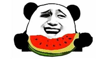 网红吃瓜搞笑图片,笑料百出引人捧腹 第3张 网红吃瓜搞笑图片,笑料百出引人捧腹 第3张