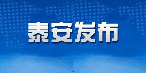 山东泰安新闻爆料平台电话,倾听民声，守护城市脉搏