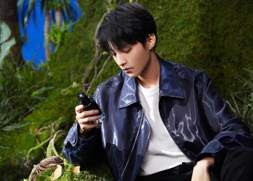 成毅娱乐吃瓜爆料视频,揭秘明星幕后故事  第3张