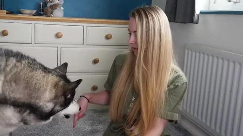 狗狗最新爆料视频,揭秘宠物界的秘密生活  第3张