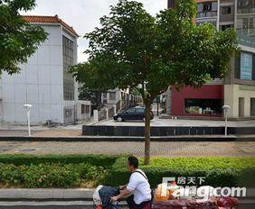 珠海长环新村最新爆料,揭秘社区变迁背后的故事  第2张