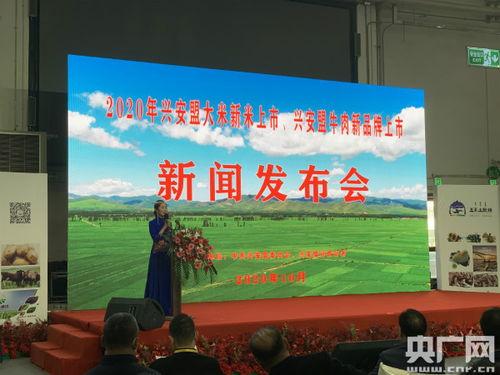 兴安盟爆料最新新闻报道,重大新闻事件追踪报道  第3张