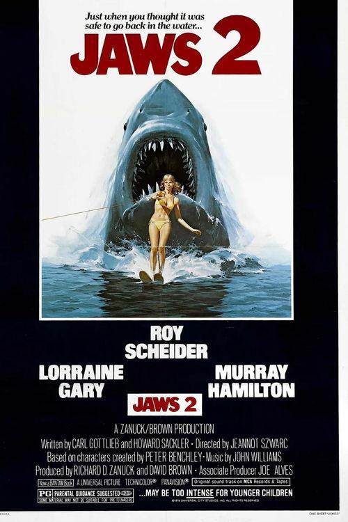 大白鲨2电影在线观看33,在线惊悚之旅，33分钟极限求生