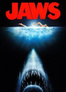 大白鲨2电影在线观看33,在线惊悚之旅，33分钟极限求生  第2张