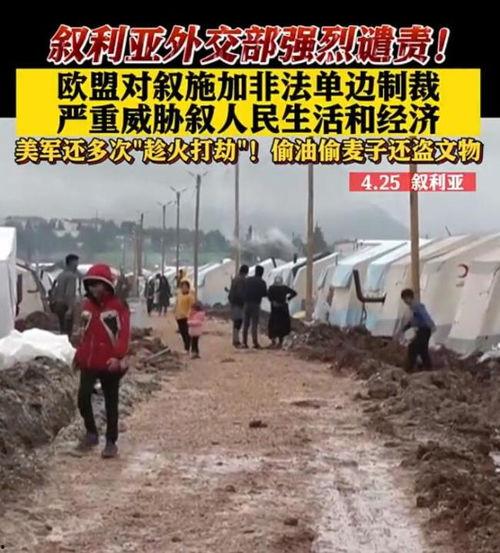 叙利亚最新局势新爆料,新爆料揭示战火背后的真相  第2张