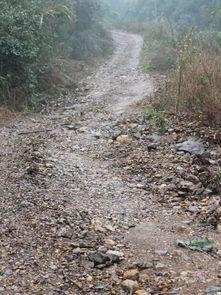 全州咸水乡村爆料事件最新,揭开神秘面纱，探寻真相背后