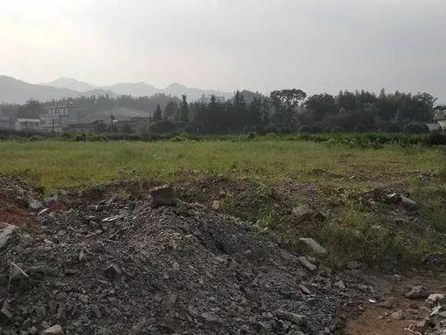 全州咸水乡村爆料事件最新,揭开神秘面纱，探寻真相背后  第2张