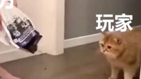 光遇爆料搞笑视频大全,笑点满满，欢乐无限