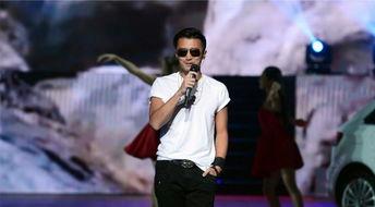 谢霆锋王菲视频爆料,揭秘两人复合背后的故事  第3张