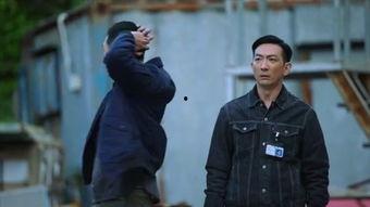 反黑国语在线观看,在线观看，揭秘黑暗势力背后的正义之战  第2张