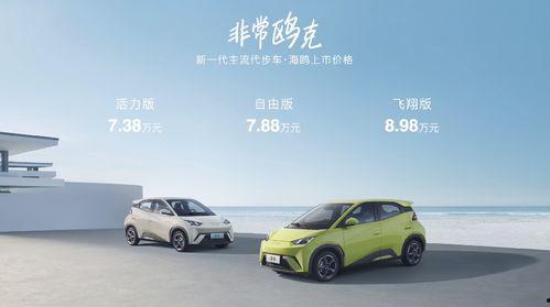 比亚迪海鸥爆料视频曝光,全新小型车亮相，设计时尚续航惊人