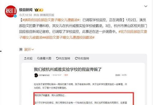霸凌爆料模板大全视频在线观看,视频在线观看攻略