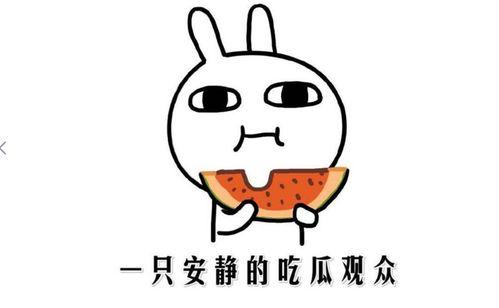 求快手网红吃瓜网站,吃瓜网站带你领略网红幕后生活  第2张