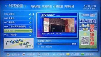 肇庆本地新闻爆料,揭秘本地最新热点事件背后的真相