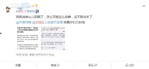 整形爆料视频下载网站在线观看,在线观看，揭秘美丽背后的秘密