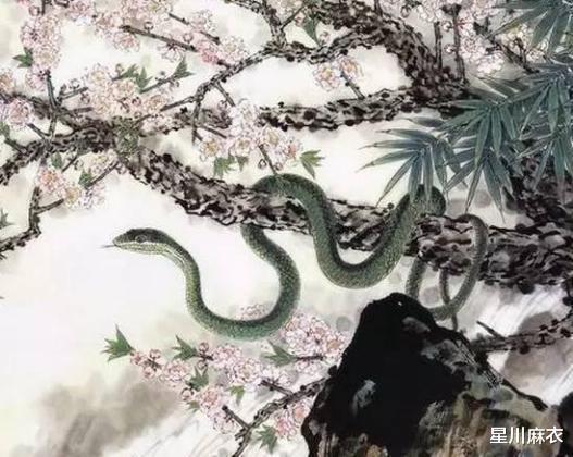 花儿与蛇3在线观看,生死较量,爱恨交织的复仇之旅 第2张 花儿与蛇3在线观看,生死较量,爱恨交织的复仇之旅 第2张