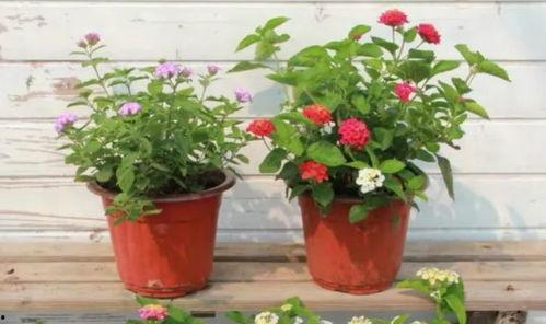 易俗河幼儿园爆料视频最新 第2张 易俗河幼儿园爆料视频最新 第2张