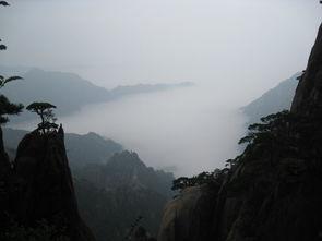 安徽黄山最新爆料事件,神秘事件引发热议  第3张