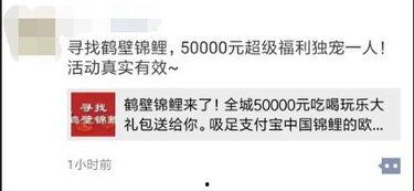 鹤壁最新爆料事件真相,真相大白，揭秘背后惊人内幕  第2张