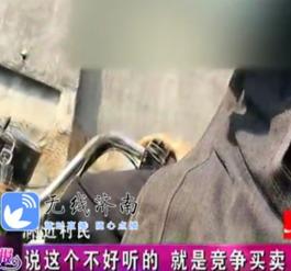 济南大鹰爆料事件视频最新,真相揭秘，网络舆论漩涡中的是非曲直  第3张