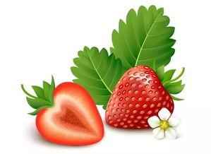 甜蜜草莓爆料视频下载安装,揭秘草莓视频下载安装全攻略