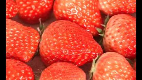 甜蜜草莓爆料视频下载安装,揭秘草莓视频下载安装全攻略 第3张 甜蜜草莓爆料视频下载安装,揭秘草莓视频下载安装全攻略 第3张