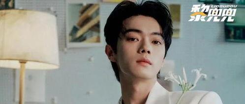 大瓜爆料许凯视频,大瓜背后真相揭秘