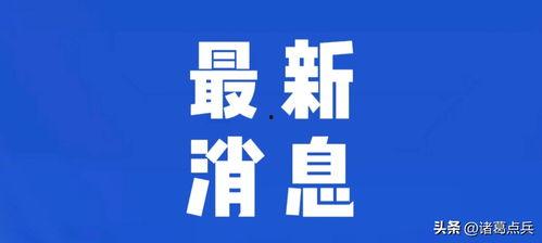 今天中午爆料新闻报道,最新热点事件深度解析  第3张